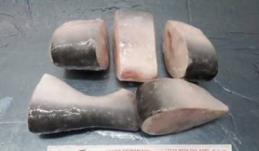 Tra fish farmers, exports hit hard by COVID-19 pandemic